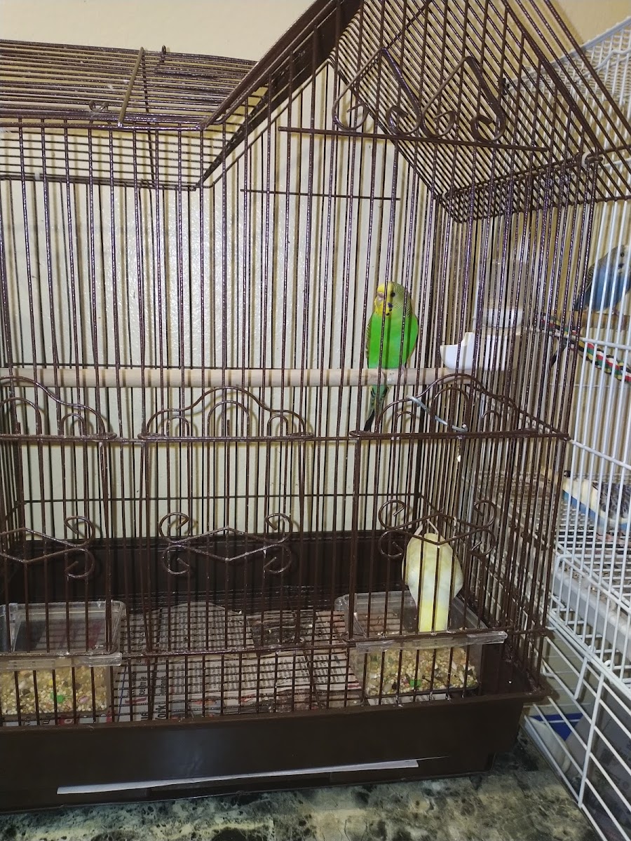 Pet City photo 1